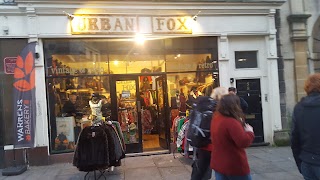 Urban Fox