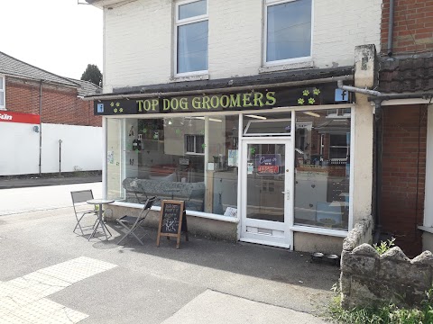 Top Dog Groomers