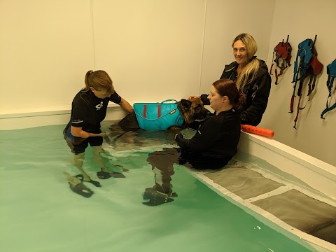 K9 Splash Hydrotherapy