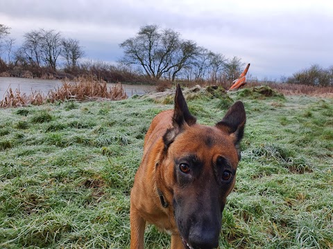 Clee Veterinary Centre