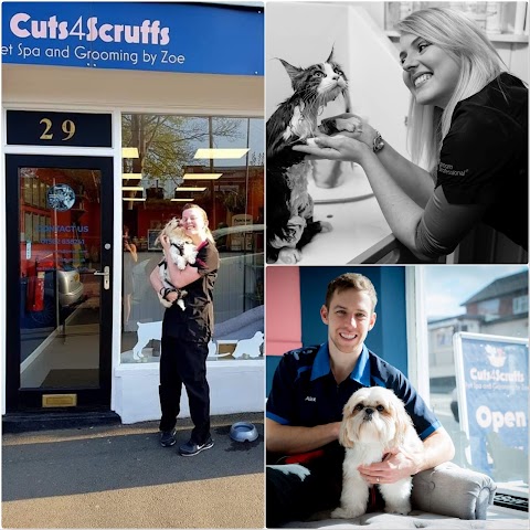 Cuts4Scruffs Ltd