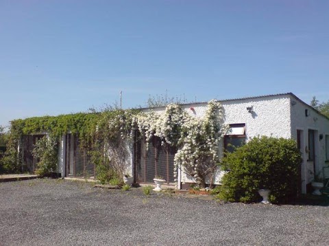 Martinstown Cattery