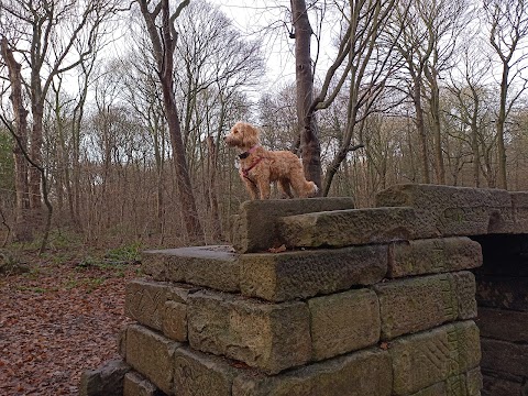 Woolley Wood Recreation Ground