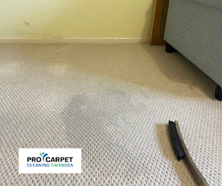 Pro Carpet Cleaning Swansea