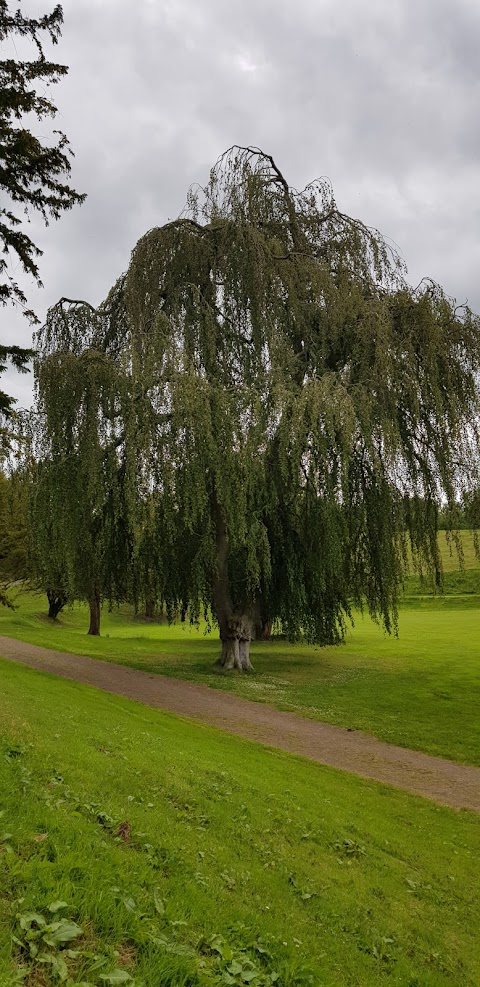 Dalkeith Country Park