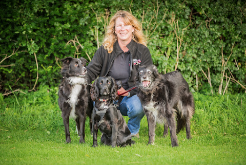 We Love Pets Salisbury - Dog Walker, Pet Sitter & Home Boarder