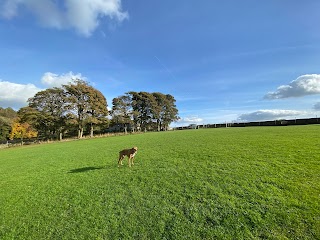 Cullingworth Pooches Playground Secure Field