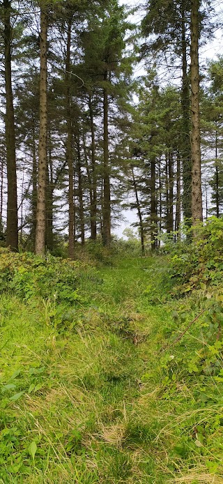 Lough Mourne Reservoir