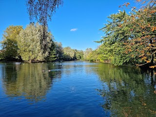 Alexandra Park & Palace