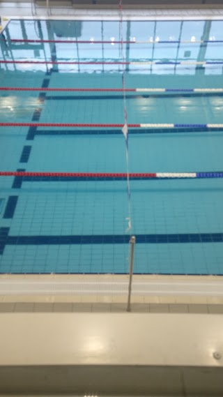 Wyre Forest Swimming Club