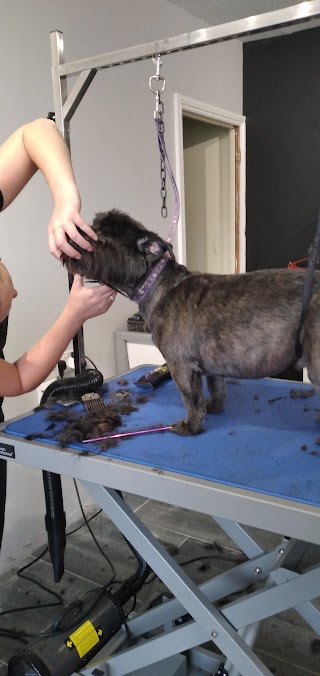 The Dog House Grooming Salon