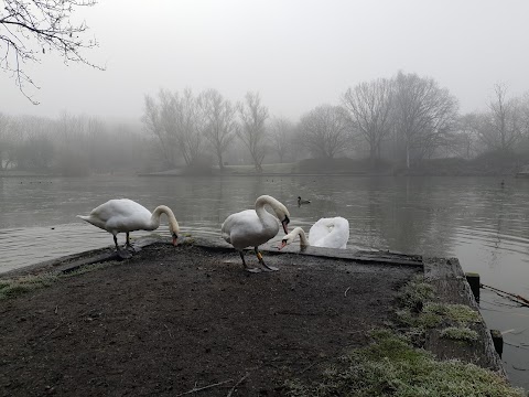 Dearne Valley Park