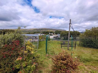 Wales Ape & Monkey Sanctuary