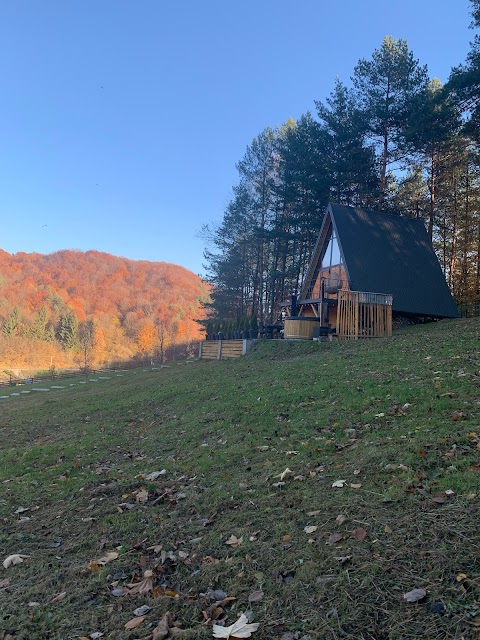 Happy Nest Cabin