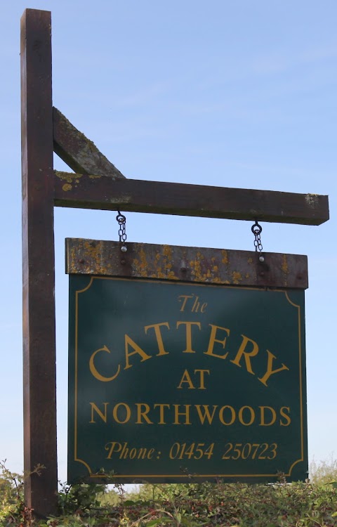 The Cattery At Northwoods