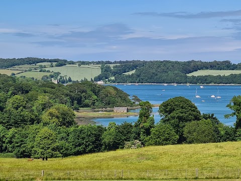 National Trust - Castle Ward