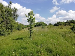 Belhus Woods Country Park Visitor Centre