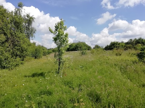 Belhus Woods Country Park Visitor Centre