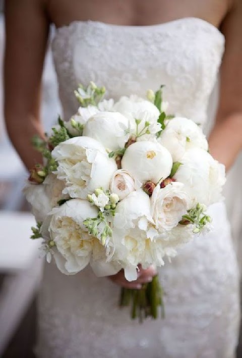 welsh elegance flowers