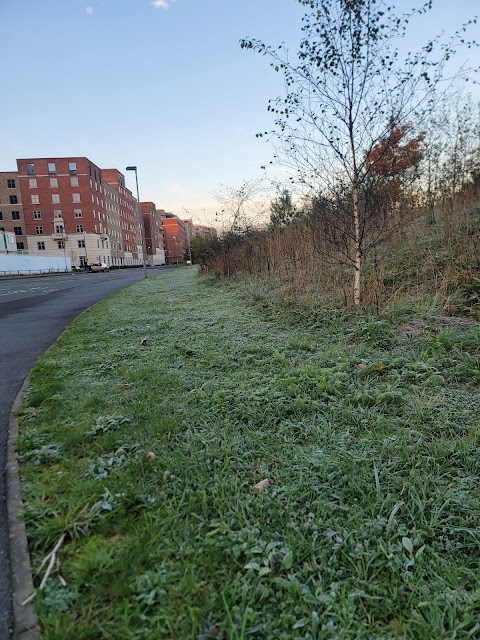 Swansea University Student Residences