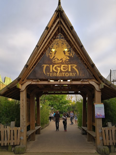 Tiger Territory