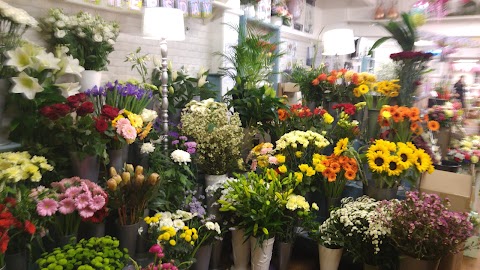 Joannes Florist