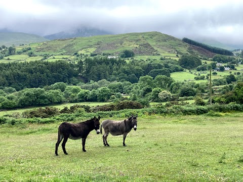 Tory Bush Cottages