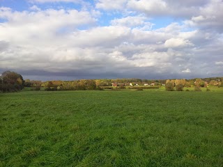 The Phoenix Boarding Kennels