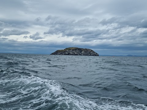 Scottish Seabird Centre