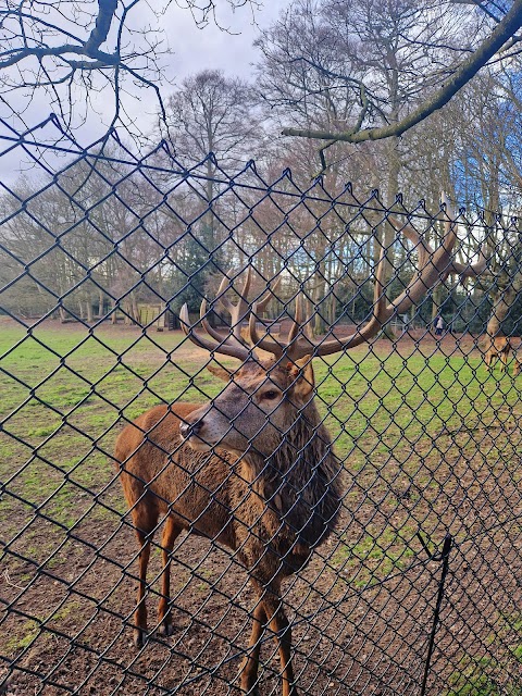 Essex Wildlife Trust, Bedfords Park Nature Discovery Centre