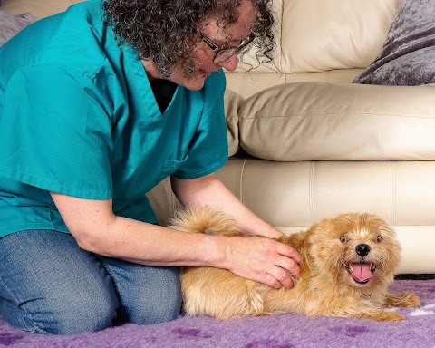 Well Balanced Animals - Veterinary Physiotherapy and Tellington TTouch Training