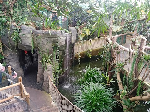 Plantasia Tropical Zoo