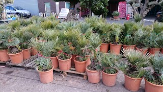 Birmingham Landscape Plants And Flowers Limited