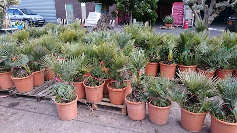 Birmingham Landscape Plants And Flowers Limited