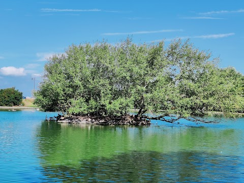 Lake Grounds