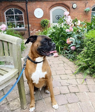 Rosie’s Hounds at Heart - Heart of the Country Village Lichfield