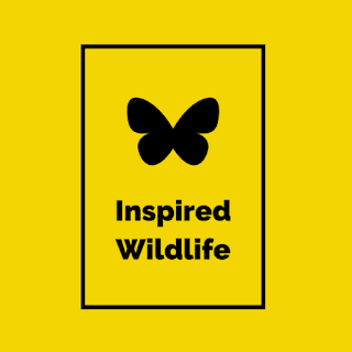 Inspired Wildlife