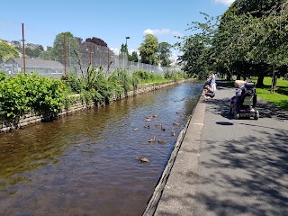 The Meadows (Tavistock Park)