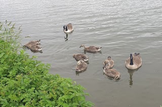 Townhill Country Park