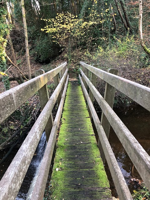 Cadzow Glen Gates