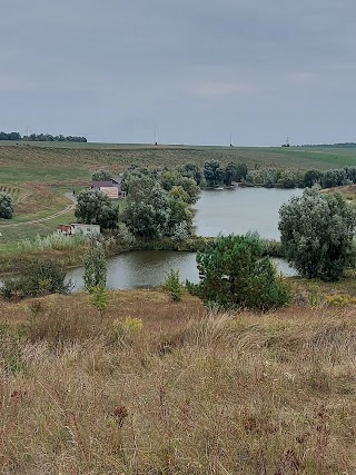 Аркадія