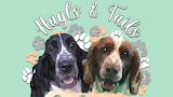 Hayls & Tails Dog Grooming