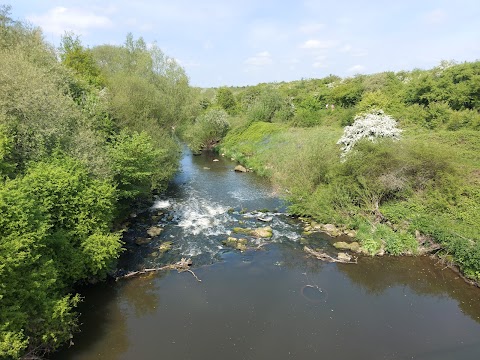 Rother Valley Country Park