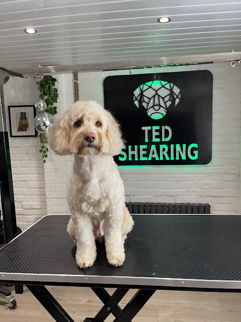 Ted Shearing