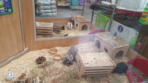 Pets at Home Bolton