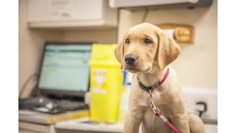 Holmefield Veterinary Clinic