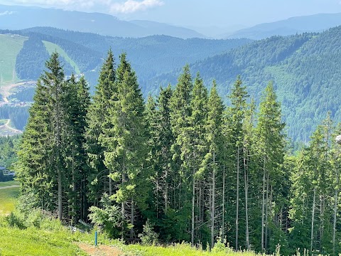 Bukovel Bike Park