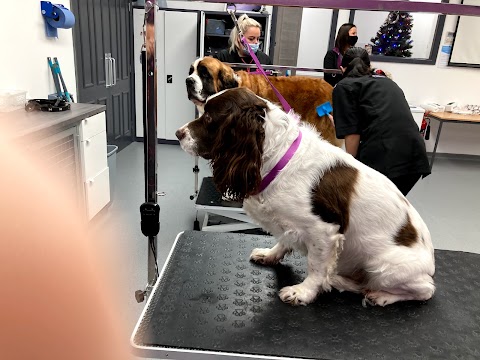 Laura and Michele's Dog Grooming