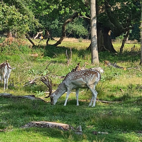 National Trust - Attingham Park