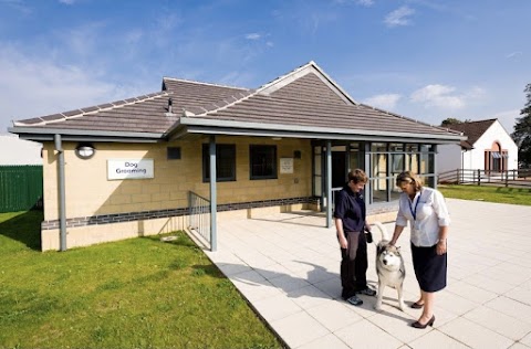 Bishop Burton Kennels and Dog Grooming